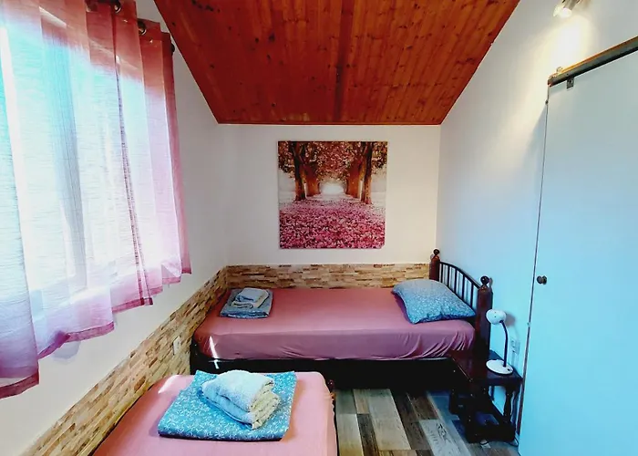 House Nyaraló