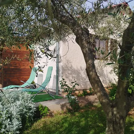 Casa de Férias House *